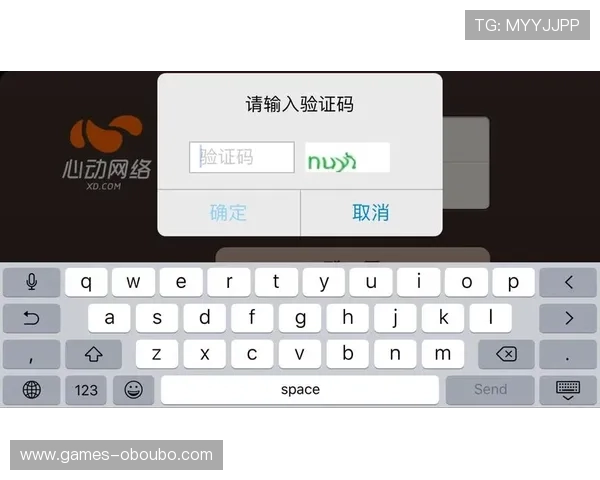欧博游戏登入过程中遇到验证码错误的解决技巧